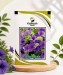 Petunia Royal Blue - Image 1